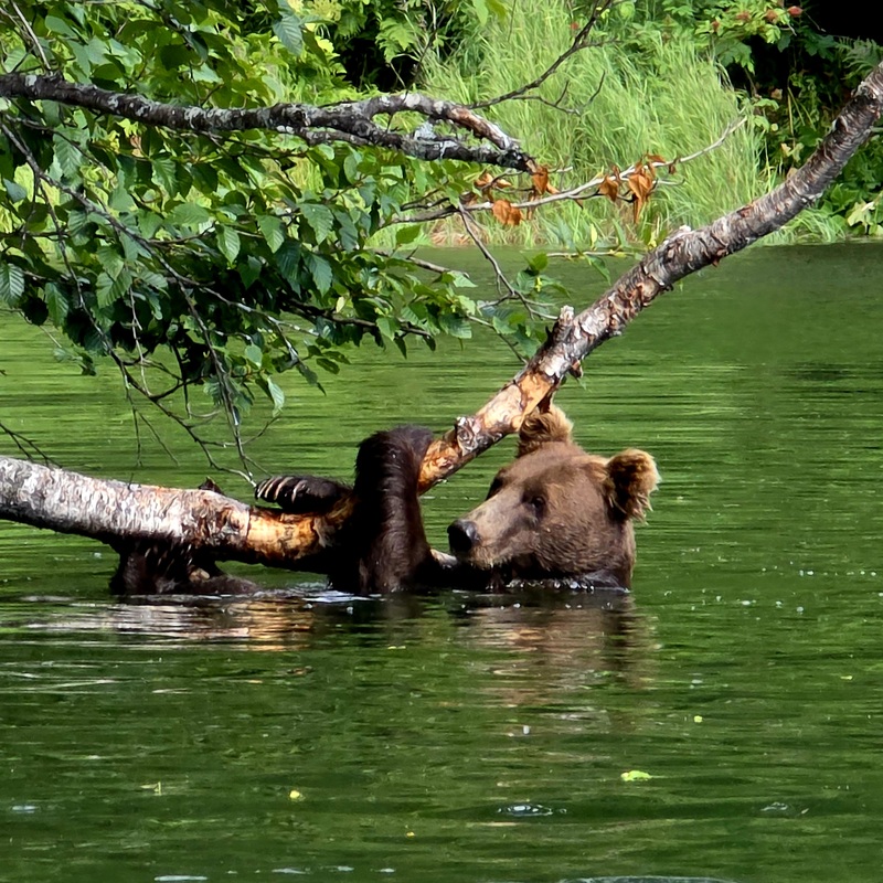 Lake Clark National Park & Preserve, Alaska